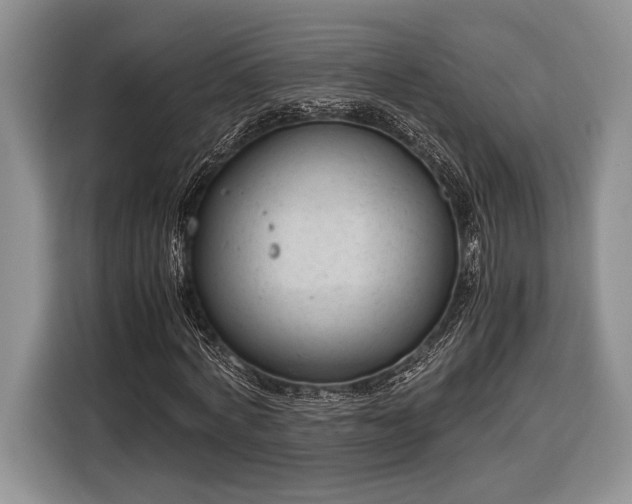 X0000116330772200912091038