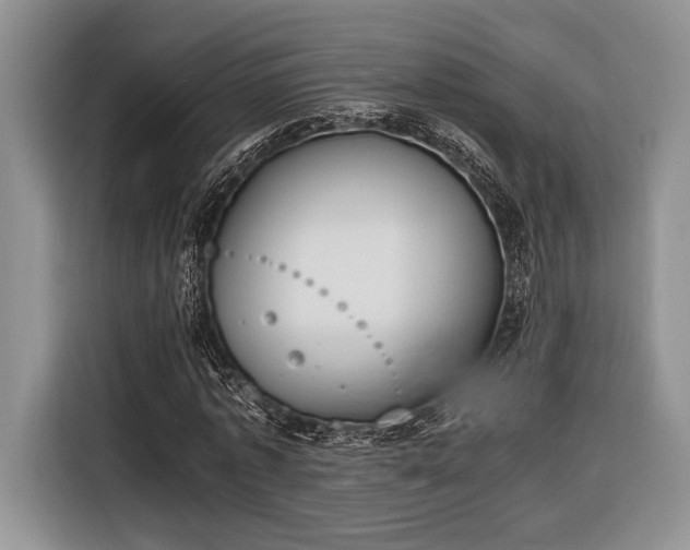 X0000116330773200912091038