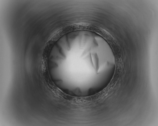 X0000116330774200912091038