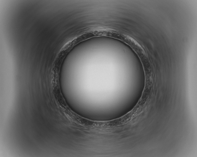 X0000116330775200912091038