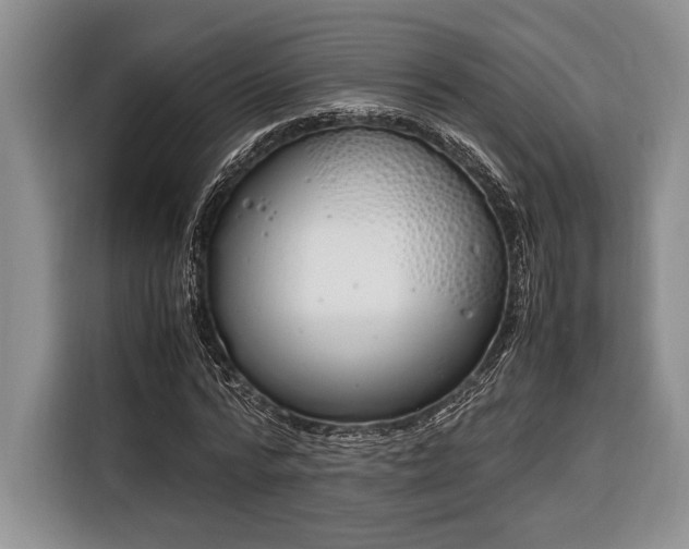 X0000116330776200912091038