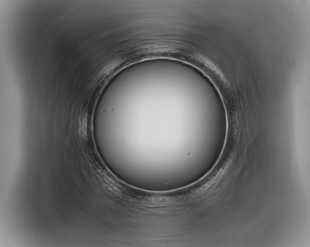 X0000116330777200912091038