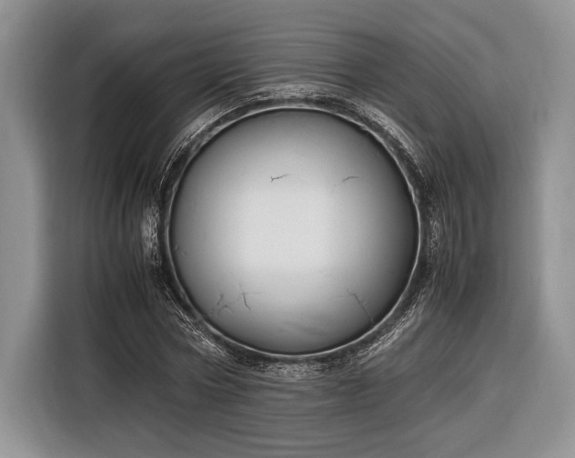 X0000116330778200912091038