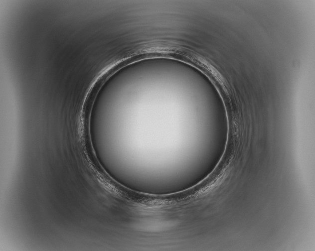 X0000116330779200912091038