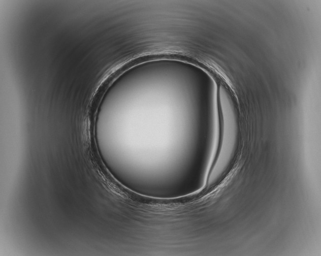 X0000116330781200912091038