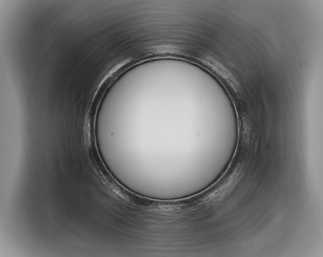 X0000116330782200912091038