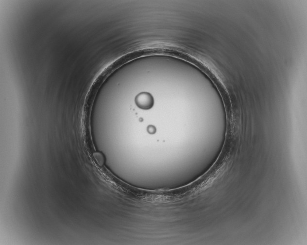 X0000116330783200912091038