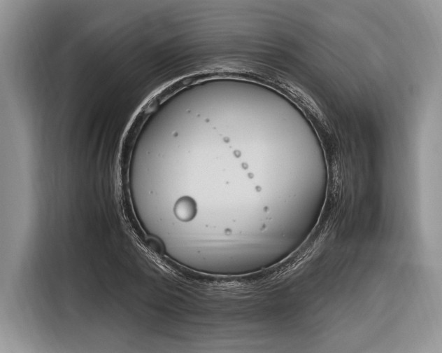 X0000116330784200912091038