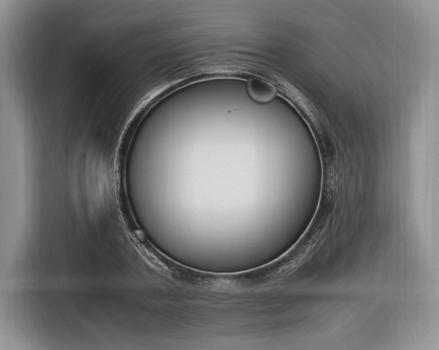 X0000116330787200912091038