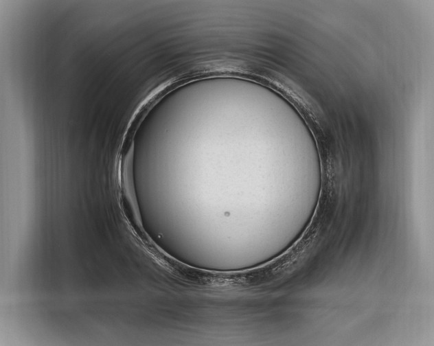 X0000116330790200912091038
