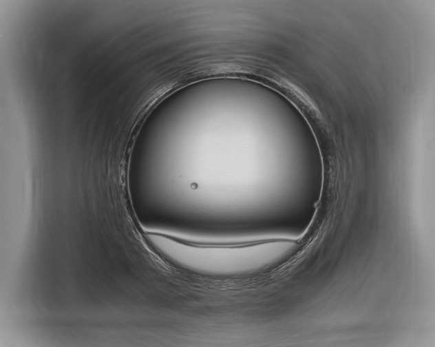 X0000116330793200912091038
