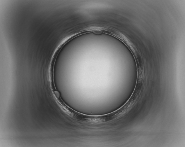 X0000116330795200912091038