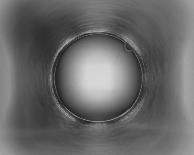X0000116330797200912091038