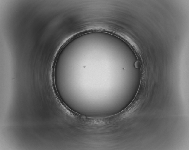 X0000116330799200912091038
