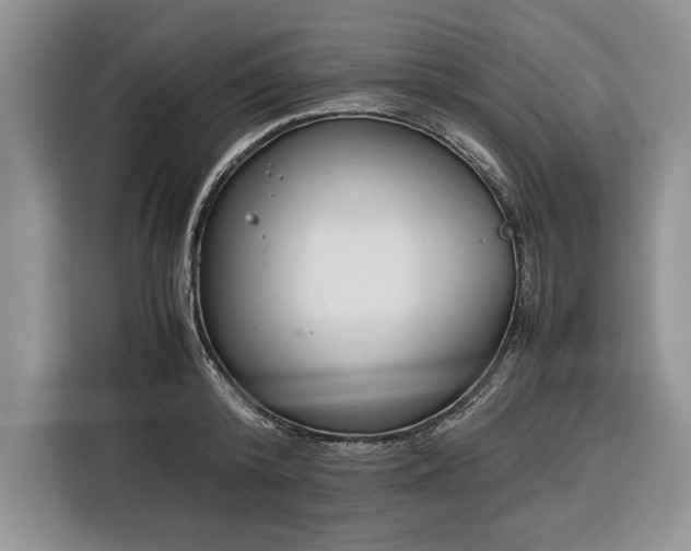 X0000116330800200912091038
