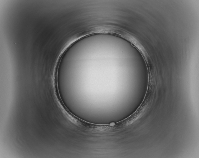 X0000116330803200912091038