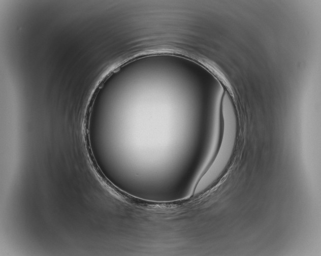 X0000116330805200912091038