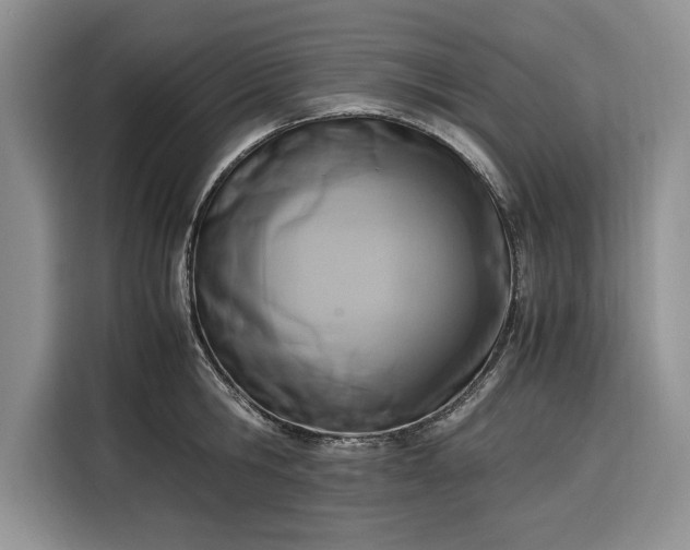 X0000116330806200912091038