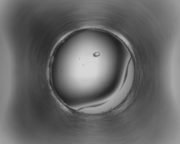 X0000116330807200912091038