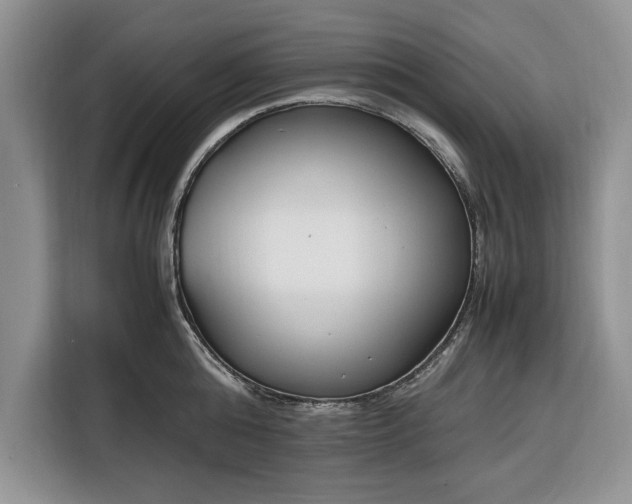 X0000116330808200912091038