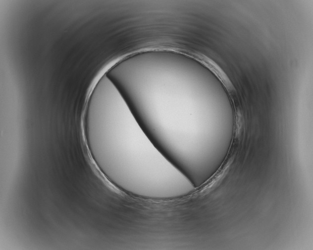 X0000116330812200912091038