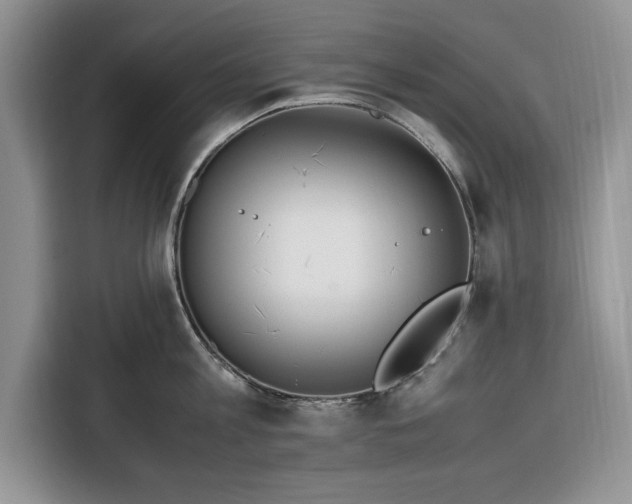 X0000116330813200912091038