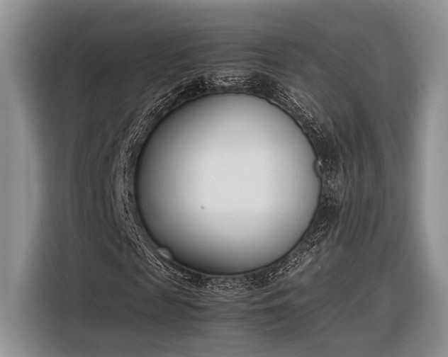 X0000116330817200912091037