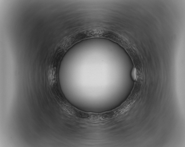 X0000116330818200912091037