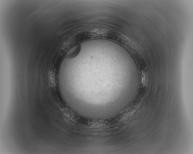 X0000116330819200912091037