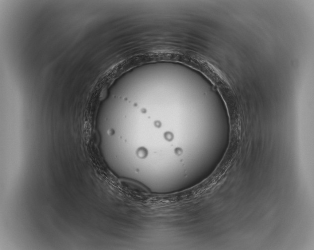 X0000116330821200912091037