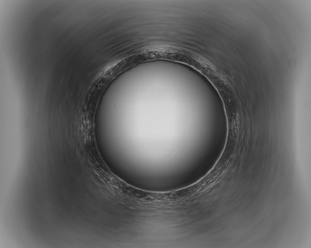 X0000116330822200912091037