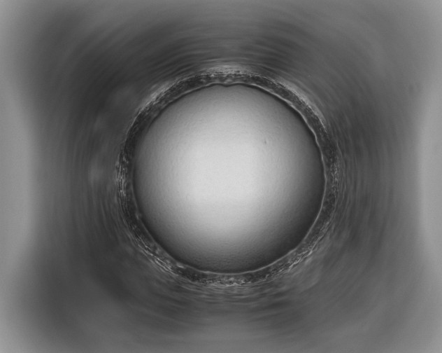 X0000116330823200912091037