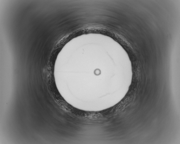X0000116330824200912091037