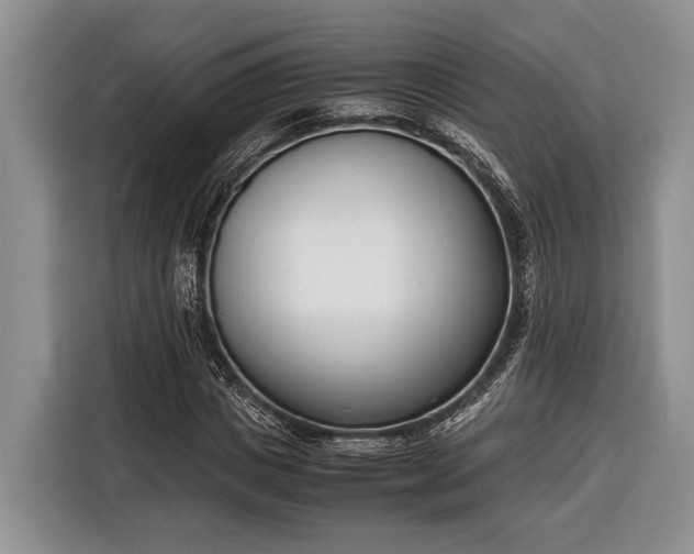 X0000116330825200912091037