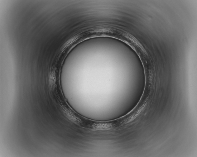 X0000116330826200912091037