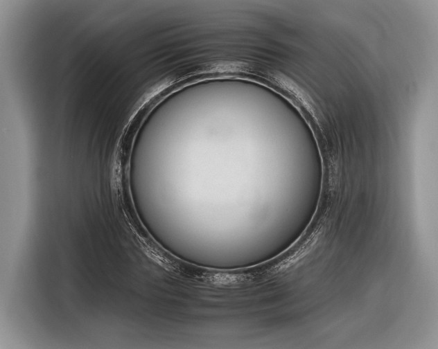 X0000116330827200912091037