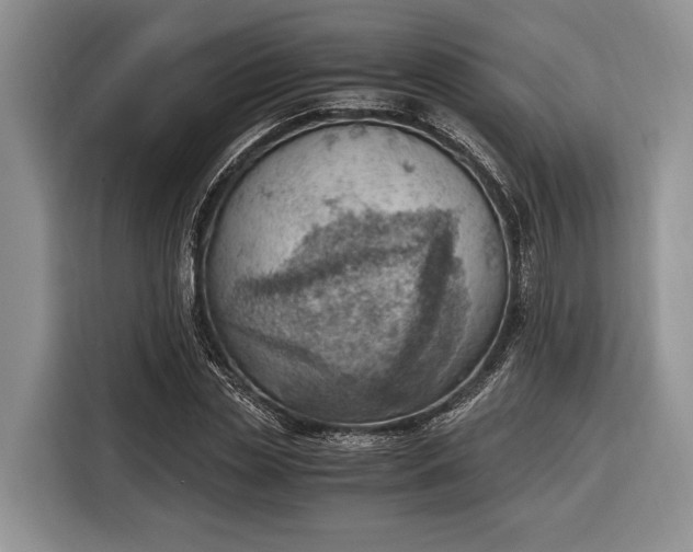 X0000116330829200912091037