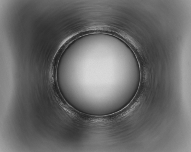 X0000116330830200912091037