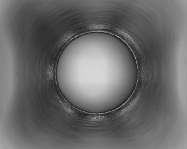X0000116330833200912091037