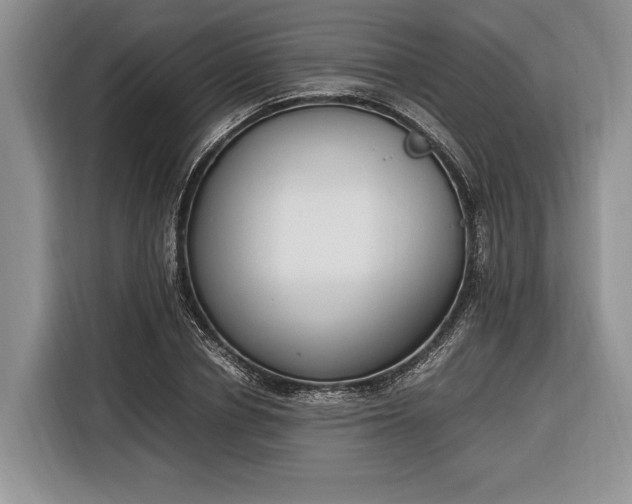 X0000116330834200912091037