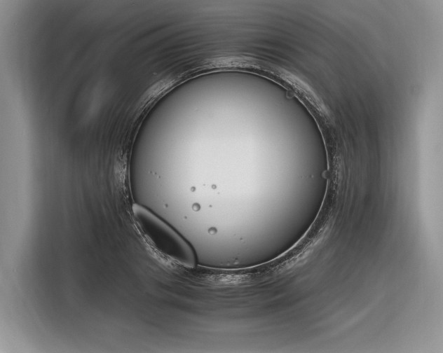 X0000116330841200912091037