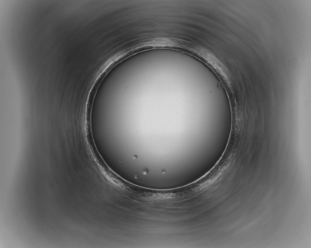 X0000116330845200912091038