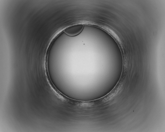 X0000116330847200912091038