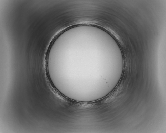 X0000116330848200912091038
