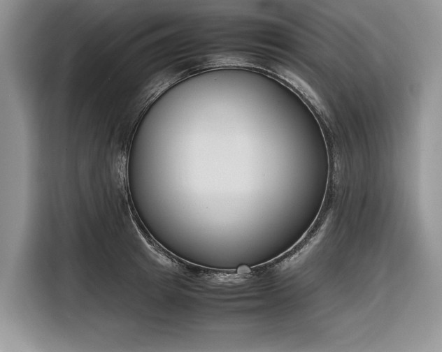 X0000116330849200912091038