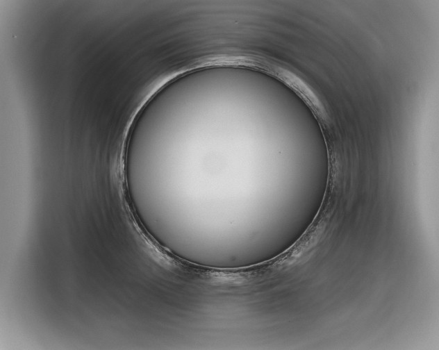 X0000116330852200912091038
