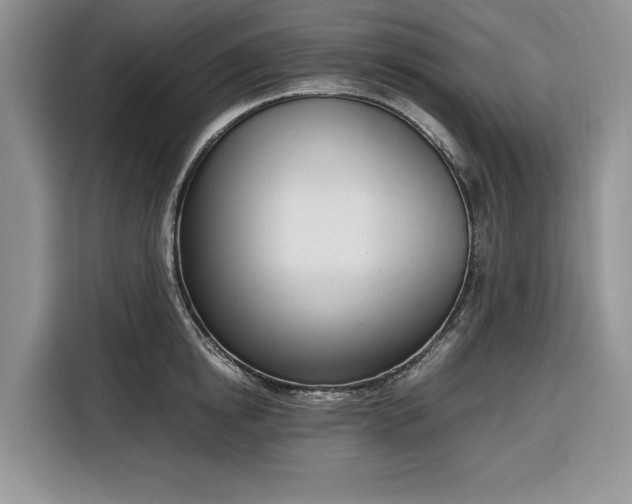 X0000116330854200912091038