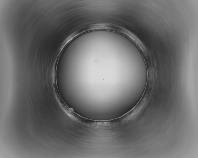 X0000116330858200912091038