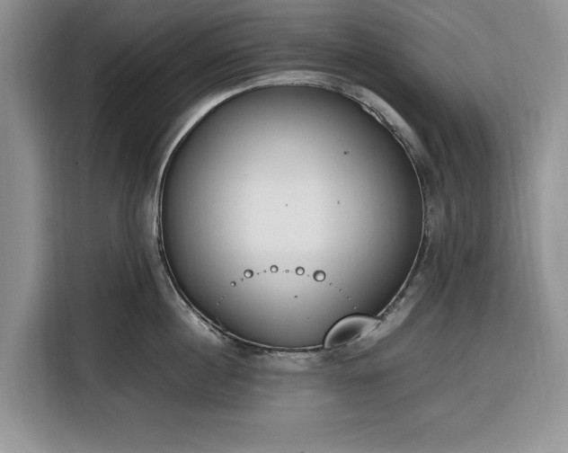 X0000116330860200912091038