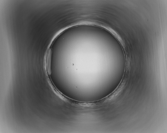 X0000116330862200912091038